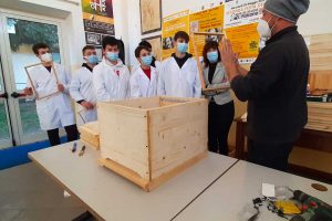 Tarquinia - Il progetto sull'apicoltura al Cardarelli