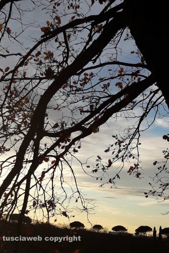 WhatsApp-Image-2021-01-15-at-16.32.43