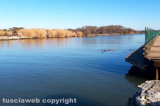 WhatsApp-Image-2021-01-18-at-10.26.57-(1)