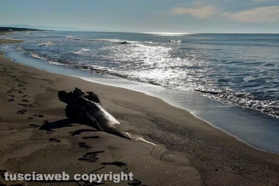 WhatsApp-Image-2021-01-18-at-10.26.58