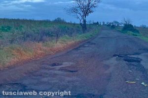 Viterbo - Buche lungo strada Sterpaio
