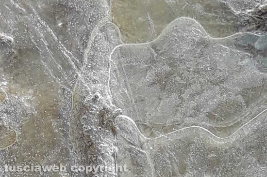 WhatsApp-Image-2021-01-22-at-15.21.25-(1)