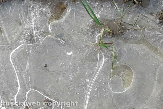 WhatsApp-Image-2021-01-22-at-15.21.25