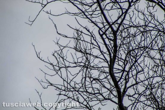 Viterbo - Cielo d'inverno in località Barigello