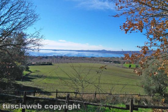 WhatsApp-Image-2021-01-27-at-13.05.38