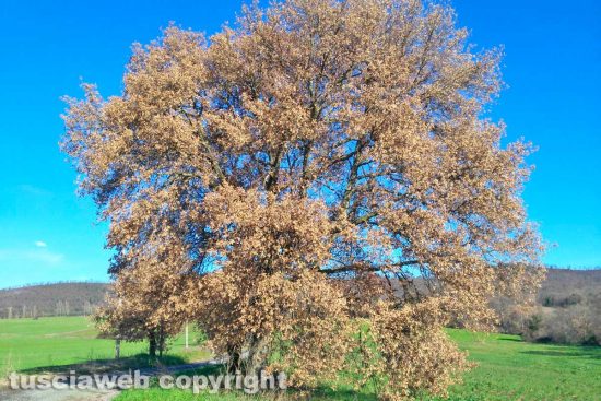 WhatsApp-Image-2021-01-27-at-13.05.41