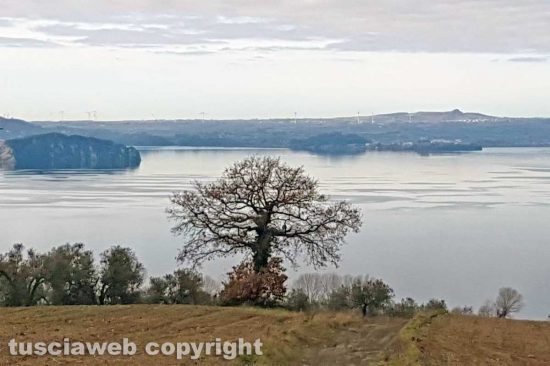 WhatsApp-Image-2021-01-28-at-14.56.12