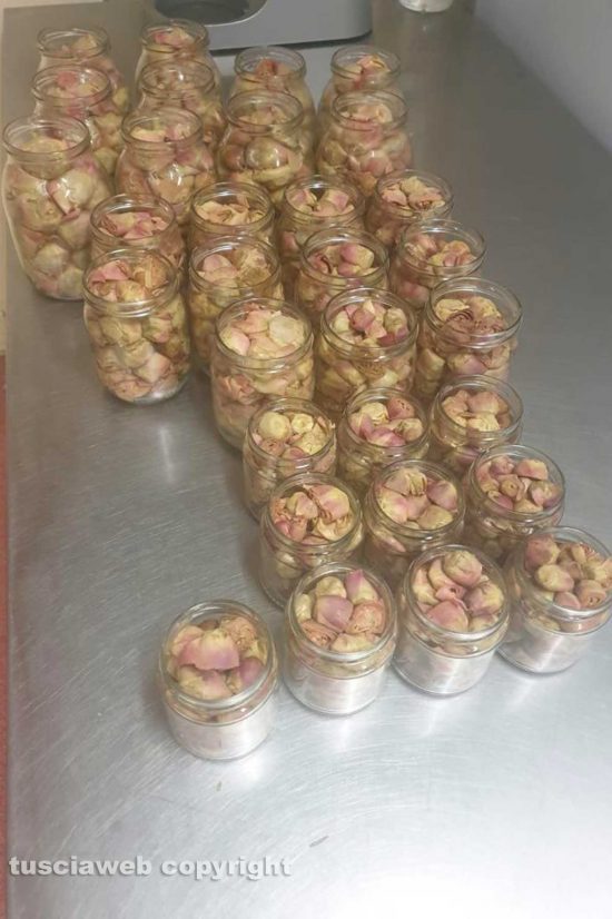 WhatsApp-Image-2021-01-28-at-15.31.26-(1)