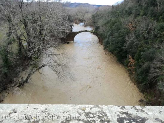 Ischia di Castro - Il fiume Fiora in piena all'altezza del ponte San Pietro