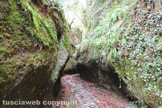 WhatsApp-Image-2021-01-31-at-12.52.13-(2)