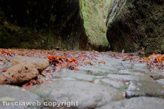 WhatsApp-Image-2021-01-31-at-12.52.13-(3)