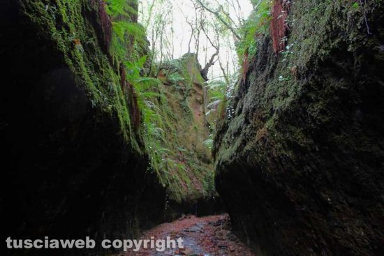 WhatsApp-Image-2021-01-31-at-12.52.13-(4)