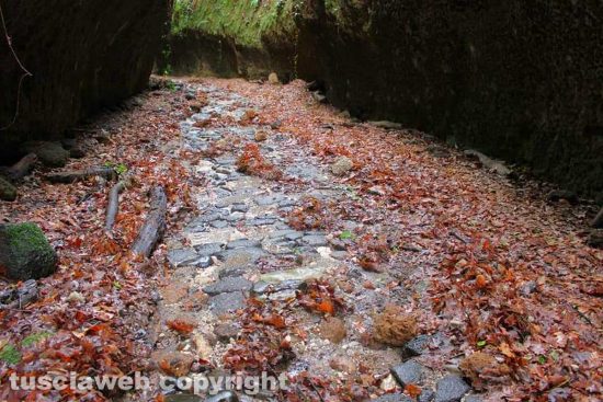 WhatsApp-Image-2021-01-31-at-12.52.13