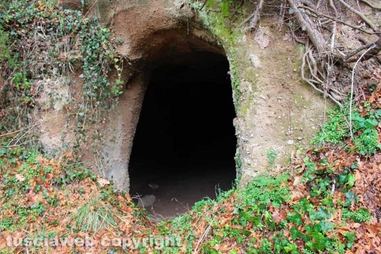 WhatsApp-Image-2021-01-31-at-12.52.14-(1)