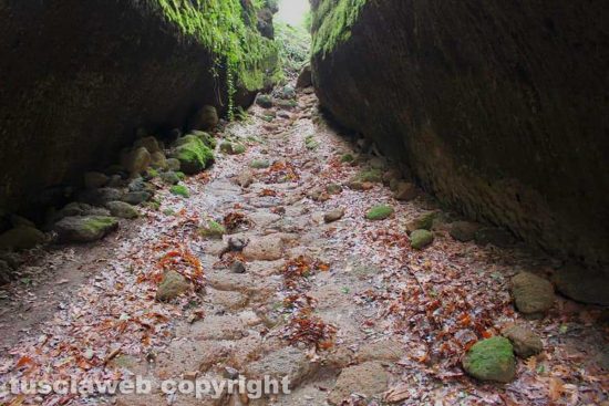 WhatsApp-Image-2021-01-31-at-12.52.14