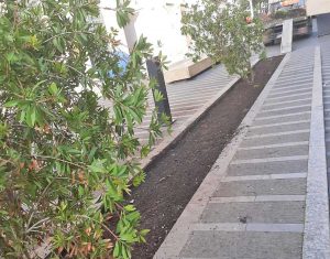 Partito il piano per l'arredo urbano