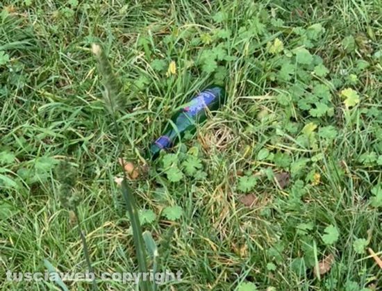 L'erba alta al giardino in zona Buon Pastore