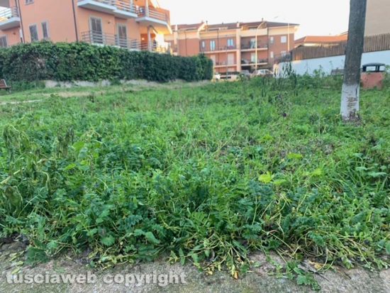 L'erba alta al giardino in zona Buon Pastore