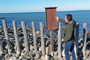 Tarquinia - Incuria nell'antico Porto Clementino