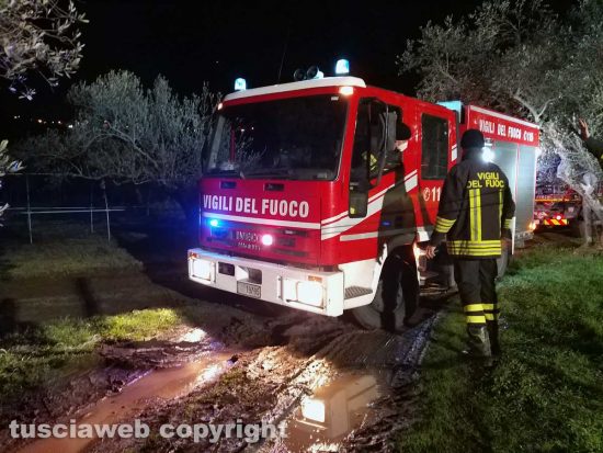 Montefiascone - Cane rimane incastrato in un tubo - L'intervento dei vigili del fuoco