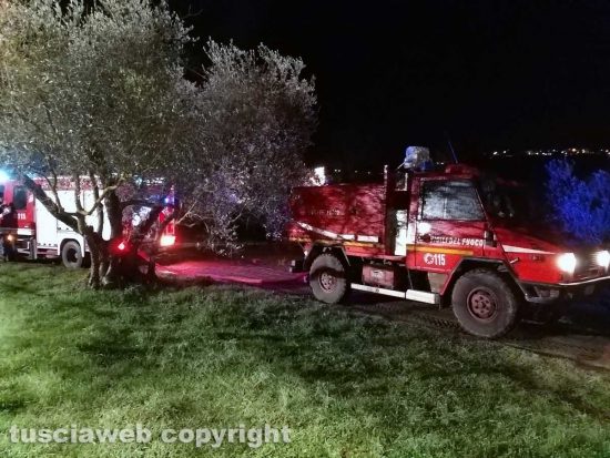 Montefiascone - Cane rimane incastrato in un tubo - L'intervento dei vigili del fuoco