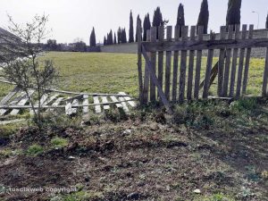 Viterbo - Il cimitero nuovo