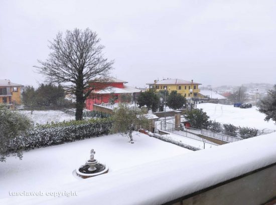 San Lorenzo Nuovo - Nevicata