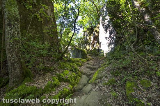 Bomarzo – Necropoli di Santa Cecilia