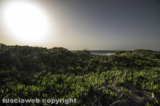 Tarquinia - Le saline