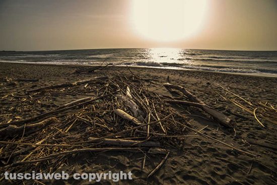 Tarquinia - Le saline 