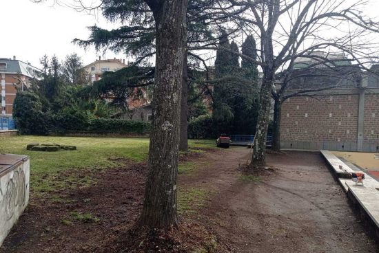 Viterbo - Comune - La potatura degli alberi in città e nei giardini delle scuole