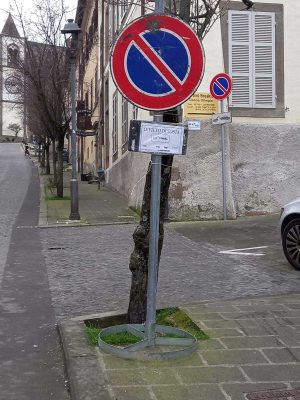 Interventi di potature 