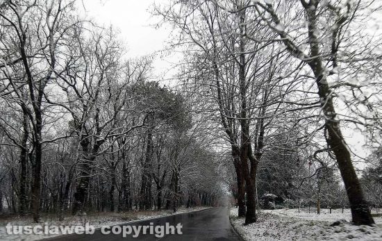 La neve a Bomarzo