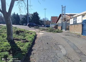 Viterbo - Rimosso l'albero caduto davanti alla piscina comunale