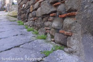 Viterbo - Incuria a San Pellegrino