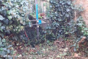 Viterbo - Incuria a San Pellegrino