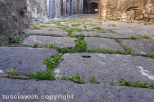 Viterbo - Incuria a San Pellegrino