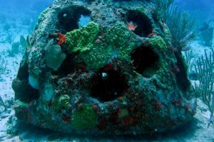 Un reef ball