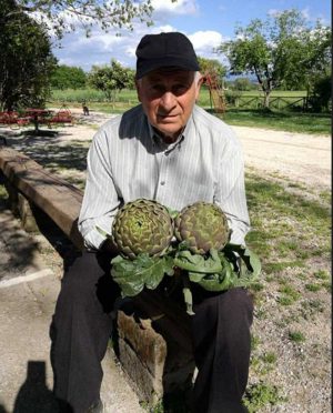 Orte - Nasce l'associazione Horti in Tiberi - Il socio Erino Cecconi mostra il carciofo ortano