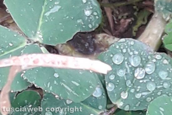 WhatsApp-Image-2021-02-03-at-20.19.45