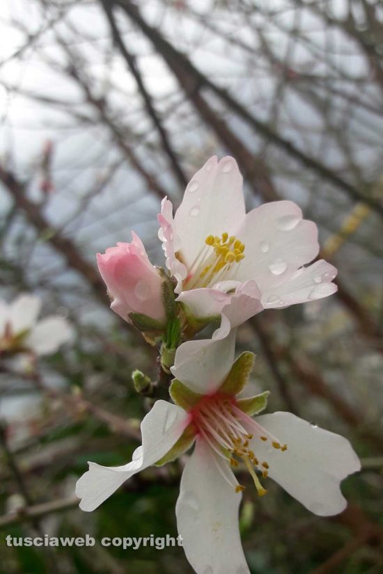 WhatsApp-Image-2021-02-09-at-14.23.08