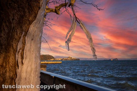 WhatsApp-Image-2021-02-15-at-11.46.06