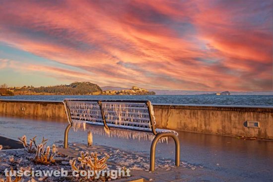 WhatsApp-Image-2021-02-15-at-11.46.07-(1)