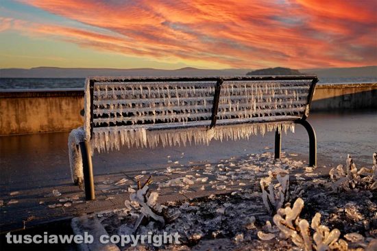 WhatsApp-Image-2021-02-15-at-11.46.07