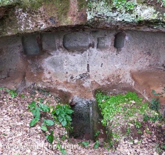 Castel d'Asso - La necropoli invasa dalle erbacce