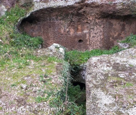 Castel d'Asso - La necropoli invasa dalle erbacce