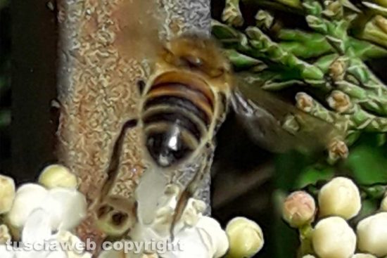 WhatsApp-Image-2021-02-23-at-11.59.11