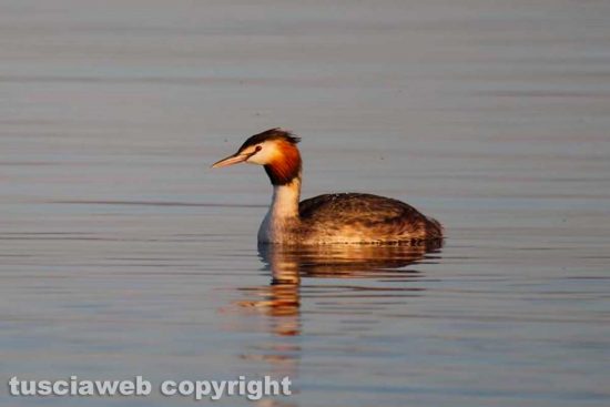 WhatsApp-Image-2021-02-24-at-22.36.36