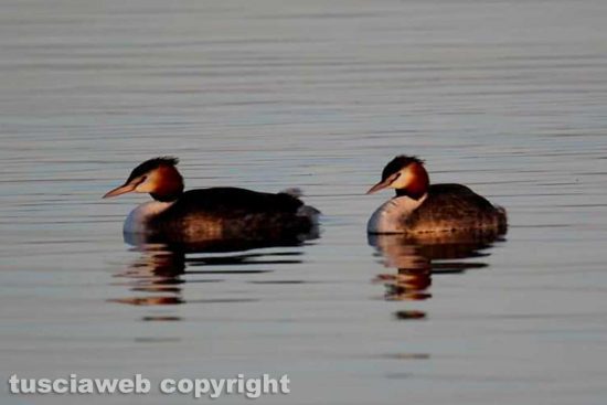 WhatsApp-Image-2021-02-24-at-22.38.45-(1)