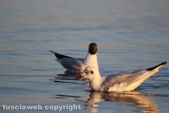 WhatsApp-Image-2021-02-24-at-22.38.45